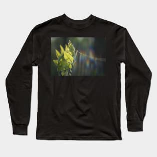 Fresh Green Leaves With Spiderweb Long Sleeve T-Shirt